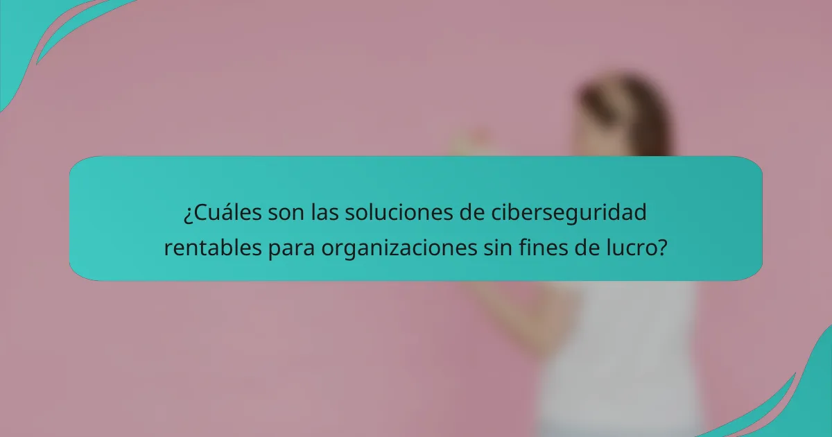 ¿Cuáles son las soluciones de ciberseguridad rentables para organizaciones sin fines de lucro?