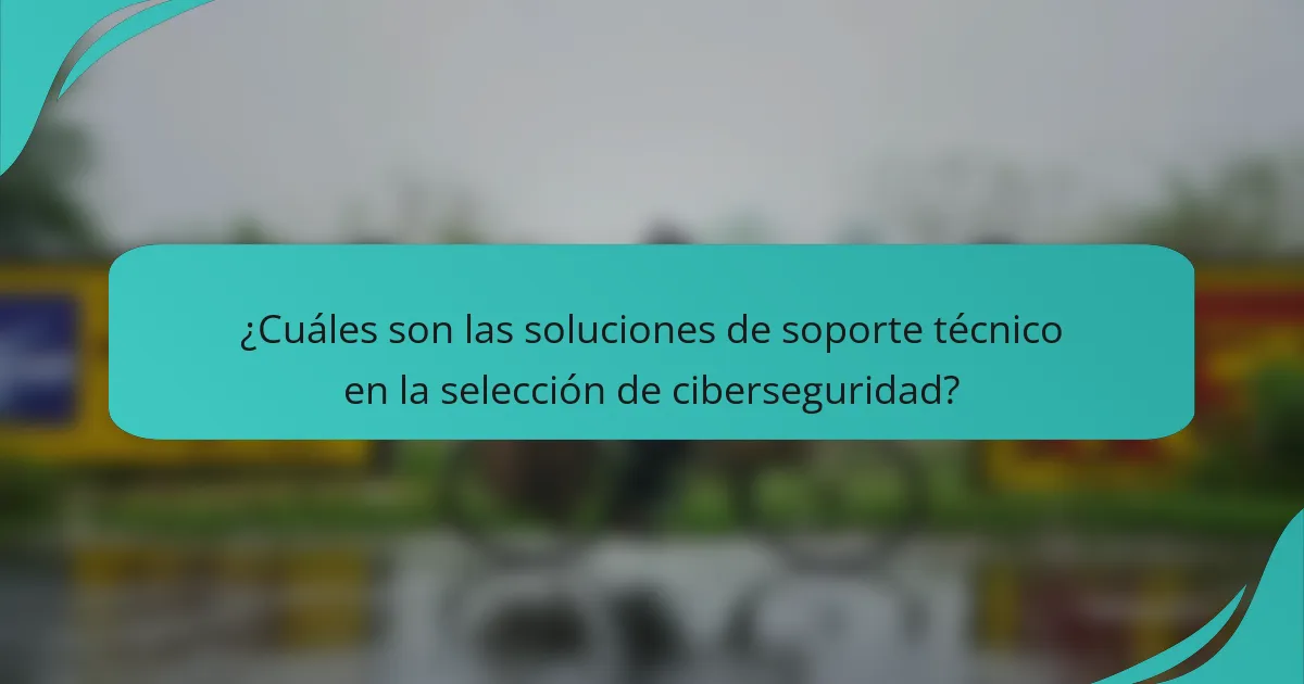 ¿Cuáles son las soluciones de soporte técnico en la selección de ciberseguridad?