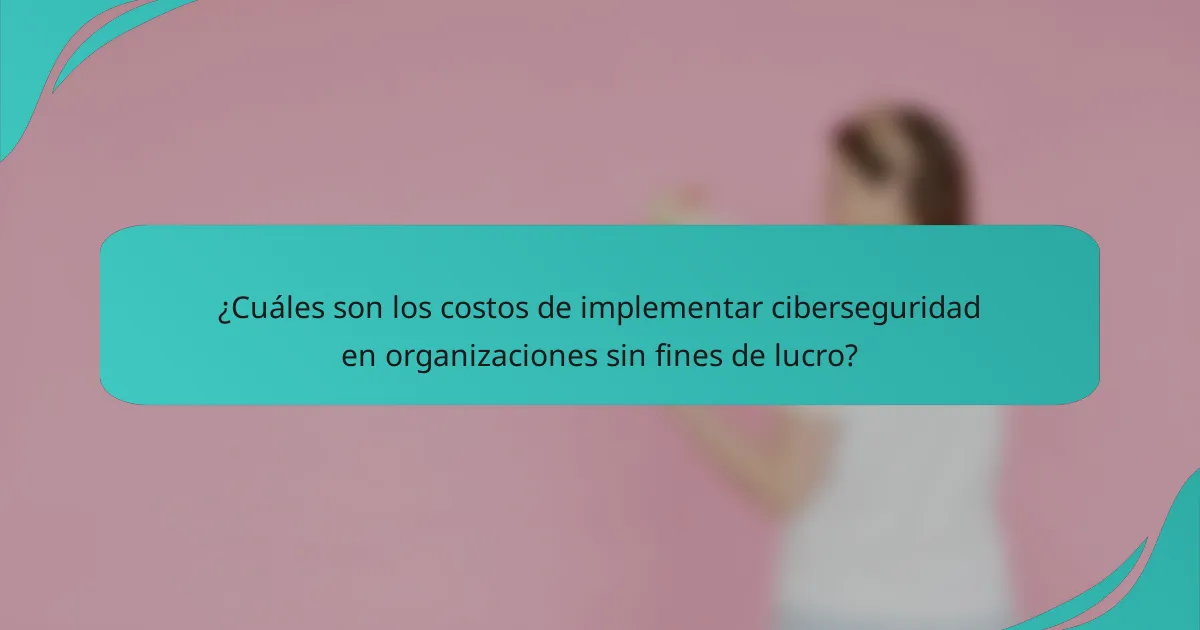 ¿Cuáles son los costos de implementar ciberseguridad en organizaciones sin fines de lucro?