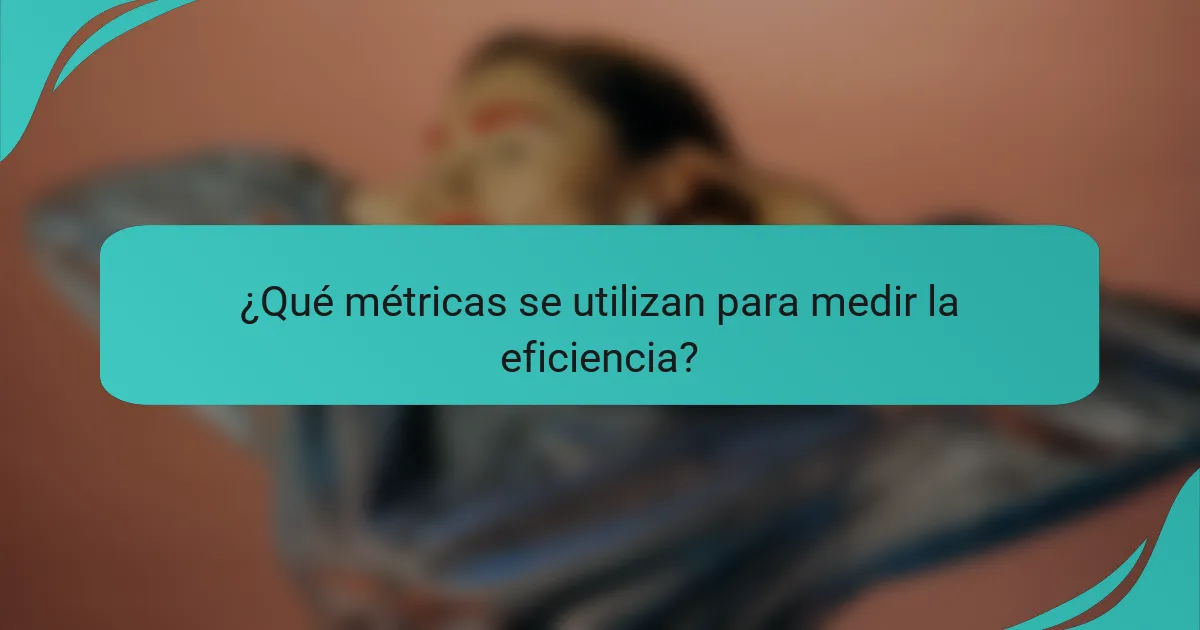 ¿Qué métricas se utilizan para medir la eficiencia?