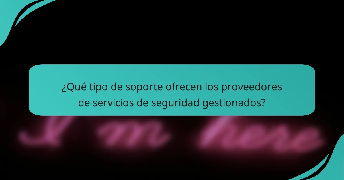 ¿Qué tipo de soporte ofrecen los proveedores de servicios de seguridad gestionados?